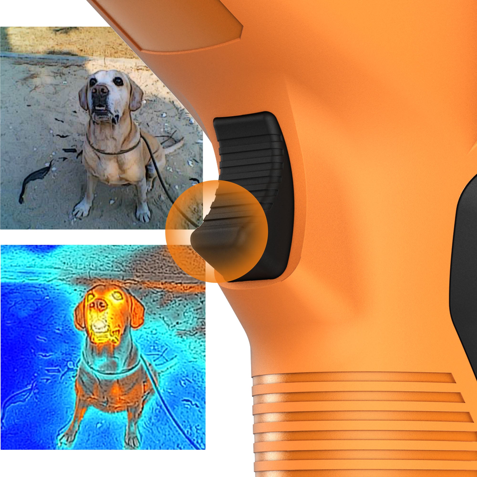 AccuMEMS