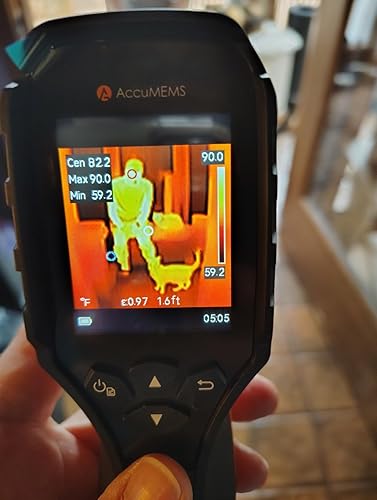 AccuMEMS